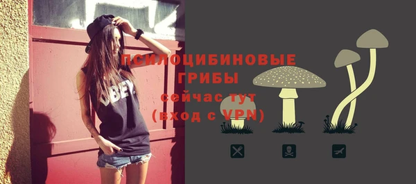PSILOCYBIN Алексеевка