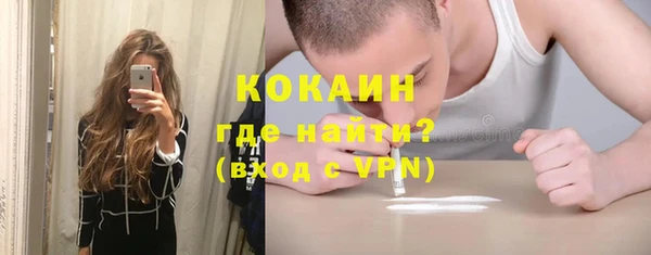 дживик Абинск