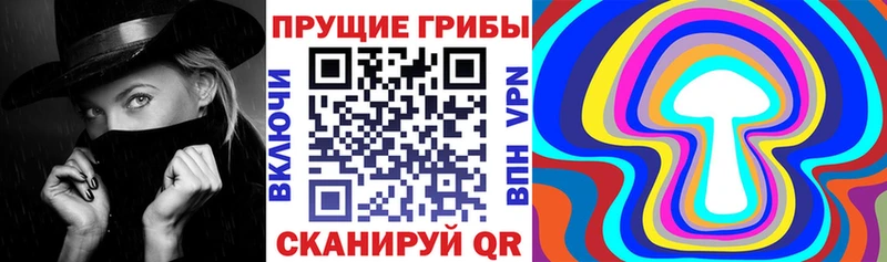 Галлюциногенные грибы MAGIC MUSHROOMS  где купить наркоту  маркетплейс как зайти  Петров Вал 